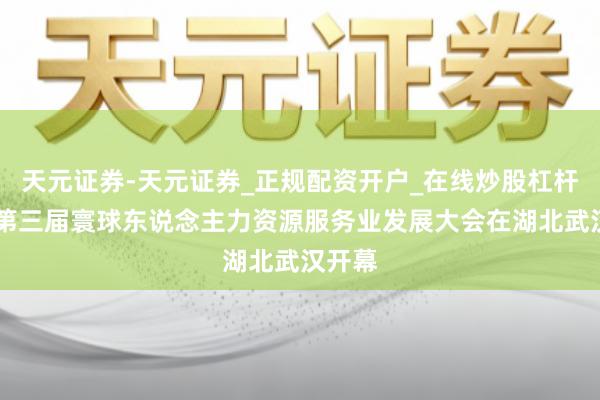 天元证券-天元证券_正规配资开户_在线炒股杠杆官方 第三届寰球东说念主力资源服务业发展大会在湖北武汉开幕