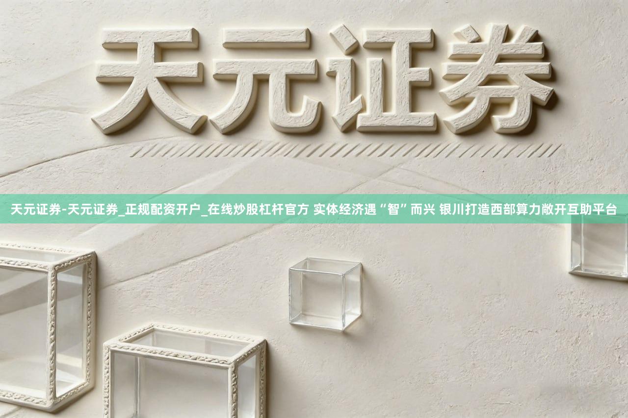 天元证券-天元证券_正规配资开户_在线炒股杠杆官方 实体经济遇“智”而兴 银川打造西部算力敞开互助平台