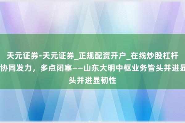天元证券-天元证券_正规配资开户_在线炒股杠杆官方 协同发力，多点闭塞——山东大明中枢业务皆头并进显韧性