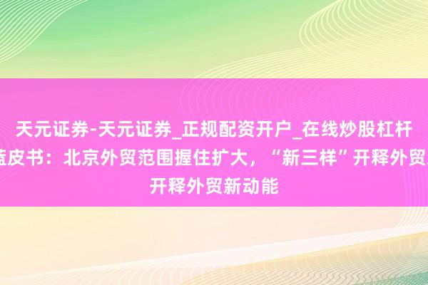 天元证券-天元证券_正规配资开户_在线炒股杠杆官方 蓝皮书：北京外贸范围握住扩大，“新三样”开释外贸新动能